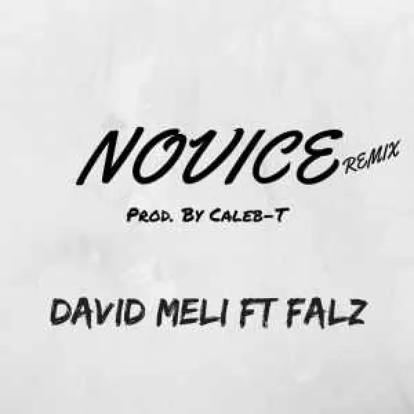 David Meli - Novice (Remix) (ft. Falz)